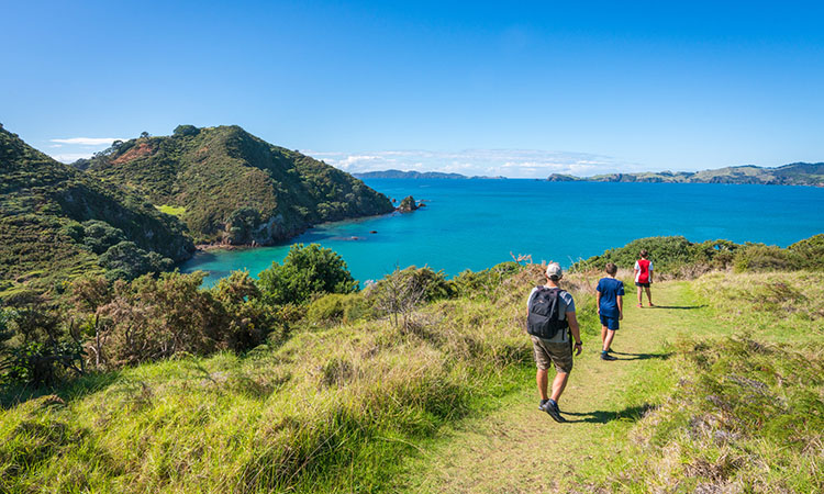 Family hiking together in New Zealand