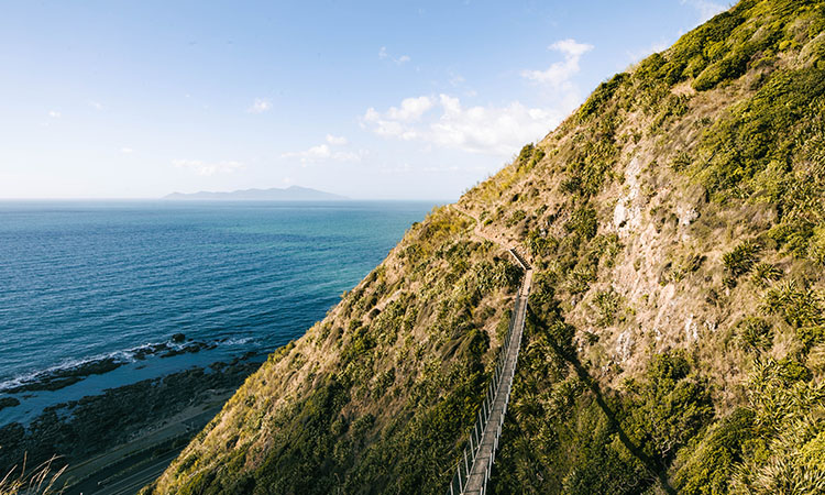 Paekākāriki Escarpment Track