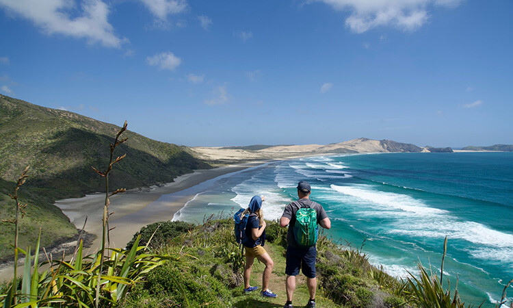 Te Paki Coastal Track