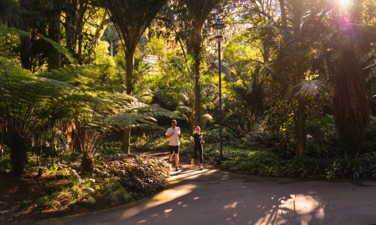 Exercising in Pukekura Park