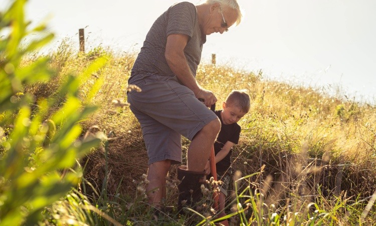 Planting activity in Taranaki