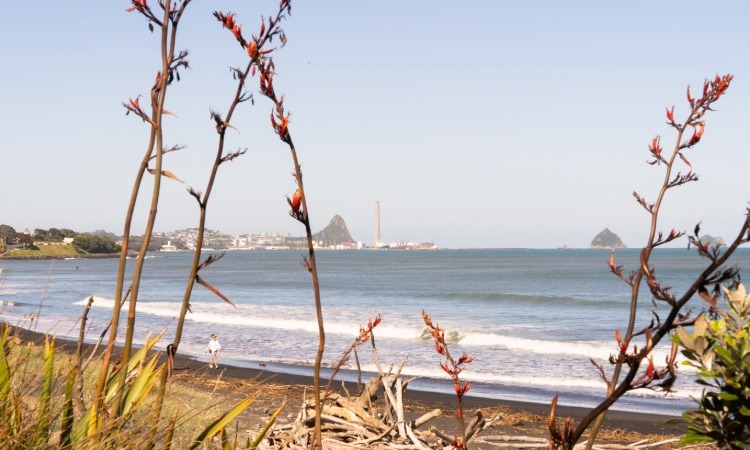 View of Paritutu Rock from Fitzroy Beach