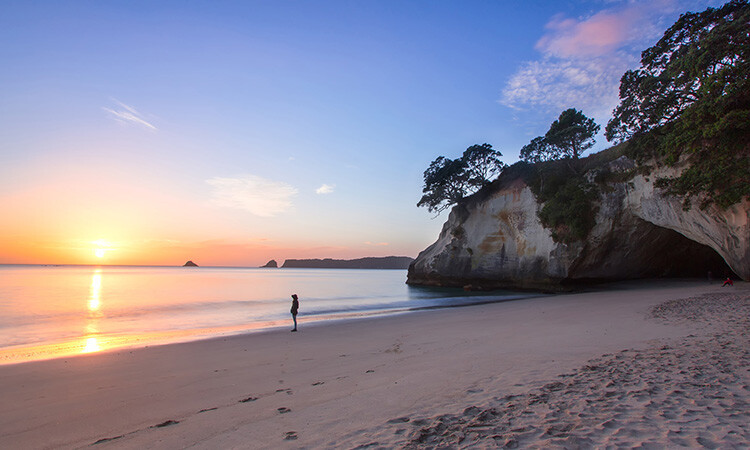 Cathedral Cove beach in summer