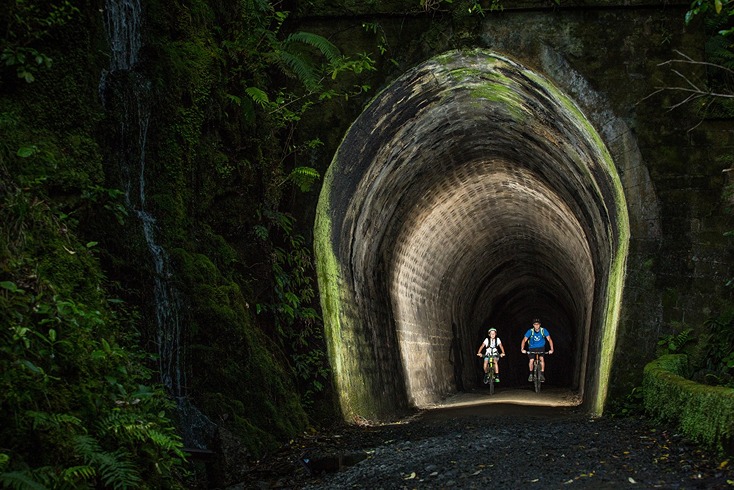 Remutaka Cycle Trail - Summit Tunnel (Credit to Wildfinder) 